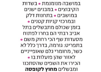 הכי רחוק מהבועה