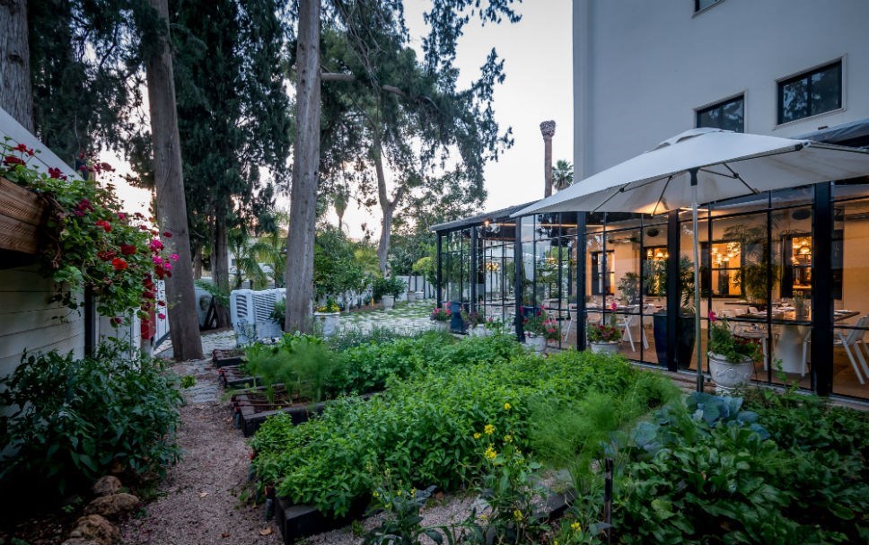 מלון הבוטיק ליר גדרה 